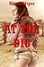 At the Dig: A Public Sex Erotica Story