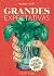 Grandes Expectativas - O Ef...