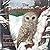 The Christmas Owl