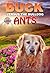 Buck Vs. the Bulldog Ants