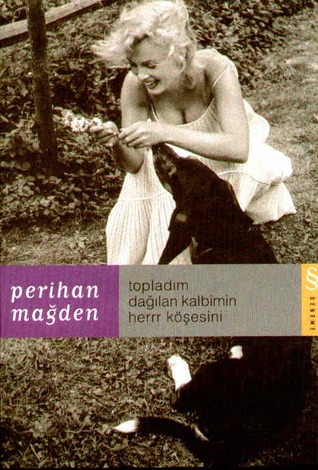 Topladım Dağılan Kalbimin Herrr Köşesini