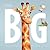 Little Big