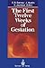 The First Twelve Weeks of Gestation by Eytan R. Barnea