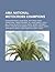 AMA National Motocross Champions: Travis Pastrana, Chad Reed, Jeff Ward, Ricky Carmichael, James Stewart, Jr., Ryan Dungey, Stefy Bau, Ryan Villopoto,