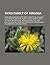 Byrd Family of Virginia: Richard Evelyn Byrd, Harry F. Byrd, William Byrd Ii, Byrd Organization, Charles Willing Byrd, Harry F. Byrd, Jr.