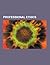 Professional Ethics: Engineering Ethics, Cyberethics, Academic Authorship, Principlism, Media Ethics, Confidentiality, Research Ethics