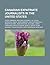 Canadian Expatriate Journalists in the United States: Peter Jennings, Malcolm Gladwell, Ali Velshi, Norimitsu Onishi, John Roberts, Ashleigh Banfield, Robert MacNeil, Bob McKeown, Elie Abel, James Creelman, Dahlia Lithwick, Morley Safer