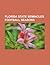 Florida State Seminoles Football Bowl Games: 2000 Sugar Bowl, 2002 Gator Bowl, 2010 Gator Bowl, 1999 Fiesta Bowl, Bluegrass Bowl