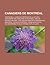 Canadiens de Montreal: Centre Bell, Classique Heritage de La Lnh 2003, Centenaire Des Canadiens de Montreal, Emeute Maurice Richard, Liste Des Records Des Canadiens de Montreal, Forum de Montreal, Arena Mont-Royal