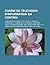 Chaine de Television D'Information En Continu: Cable News Network, I-Tele, Bfm TV, France 24, Euronews, La Chaine Info, Al Jazeera, Deutsche Welle, Fox News Channel, BBC World News, Medi 1 TV, Reseau de L'Information, Russia Today