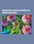 Radiation Health Effects Researchers: Alexander Catsch, Karl Zimmer, Hans-Joachim Born, Hermann Joseph Muller, Joseph Rotblat, John Gofman