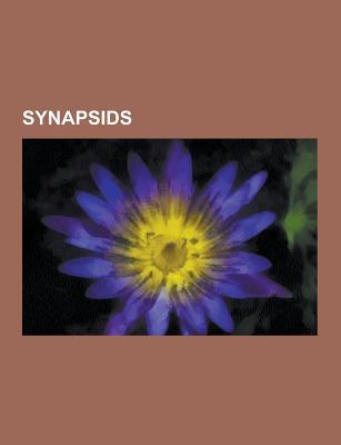 Synapsids: Evolution of Mammals, List of Therapsids, Synapsid, List of Pelycosaurs, Therapsida, Neotherapsida, Tetraceratops, Cry
