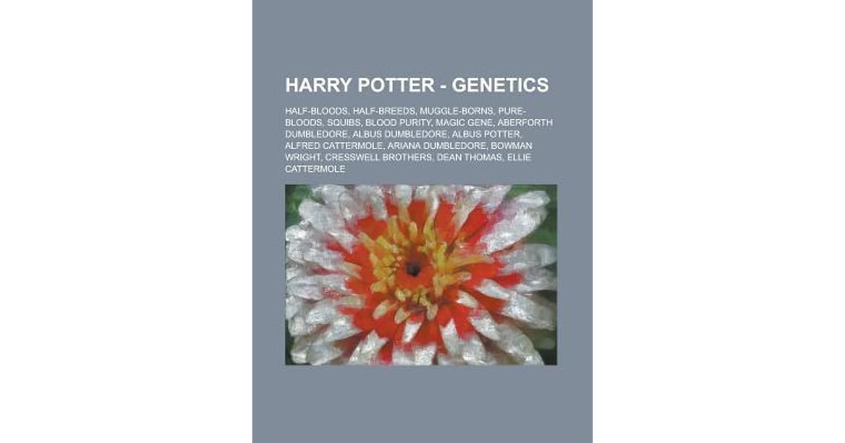 Harry Potter HalfBloods, HalfBreeds, MuggleBorns, PureBloods, Squibs, Blood
