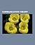 Communication Theory: Robert T. Craig, Communication Theory as a Field, Anxiety-Uncertainty Management, Rhetoric of Social Intervention Mode