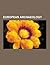 European Archaeology: Bog Body, Hill Fort, Beaker Culture, Tumulus, Cro-Magnon, Urnfield Culture, Early Christian Inscriptions