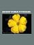 Ancient Roman Physicians: Galen, Marcellus Empiricus, Medical Community of Ancient Rome, Sextus Empiricus, Ancient Greek Medicine