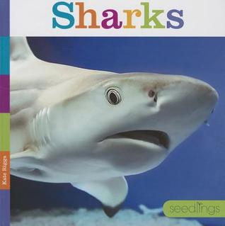 Sharks (Seedlings)