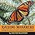 Raising Monarchs: Caring for One of God's Graceful Creatures