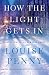 How the Light Gets In (Chief Inspector Armand Gamache #9)