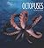 Octopuses by Melissa Gish