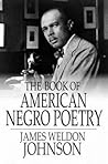 The Book of American Negro Poetry by James Weldon Johnson