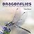 Dragonflies: Catching - Ide...