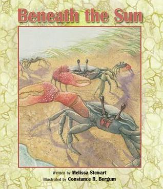 Beneath the Sun (Hardcover)