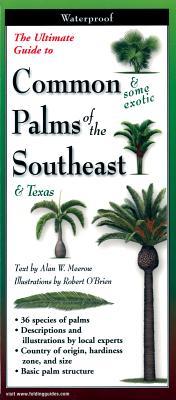 Palms of the Southeast: Folding Guide