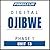 Pimsleur Ojibwe Level 1 Les...