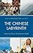 The Chinese Labyrinth: Exploring China's Model of Development (Challenges Facing Chinese Political Development)