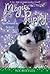 Spellbound at School (Magic Puppy,  #11)