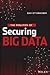 The Realities of Securing Big Data