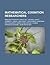 Mathematical Cognition Researchers: George Lakoff, Jean Piaget, Rafael E. Nez, Brian Butterworth, Stanislas Dehaene, David C. Geary