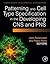 Patterning and Cell Type Specification in the Developing CNS and Pns: Comprehensive Developmental Neuroscience, Volume 1