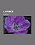 La Force by Paul   Adam