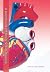 A Handbook of Mitral Valve ...