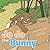 Jo Jo the Bunny