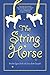 The String Horse