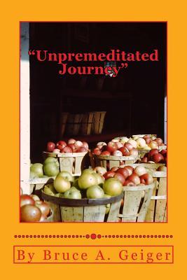 Unpremeditated Journey: Hoover/Fdr to Bush/Obama 83 Years in 250 Pages