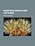Scientific Essays and Lectures