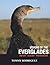 Visions of the Everglades: ...