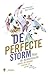 De Perfecte Storm by Koen Schoors