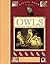 Little Book of Owls