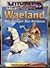 Midgard Quellenbuch. Waeland, Krieger des Nordens by Olaf Möhle