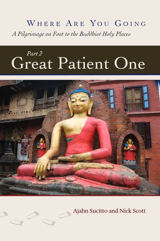 Great Patient One (Where Are You Going, #2)