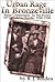 Urban Rage in Bronzeville by B.J. Bolden