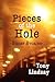 Pieces of the Hole by Tony Lindsay