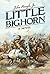 Little Bighorn