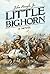 Little Bighorn