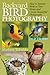 Backyard Bird Photography: How to Attract Birds to Your Home and Create Beautiful Photographs